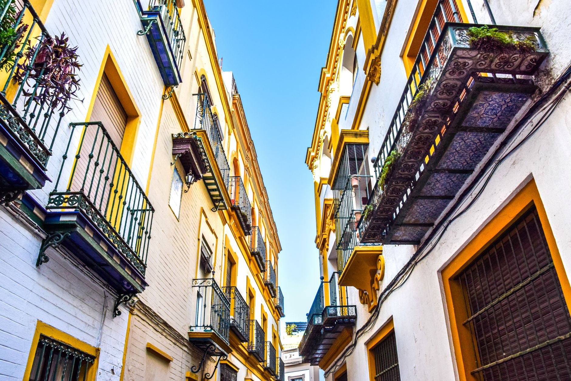 Calle del barrio de Nervión en Sevilla