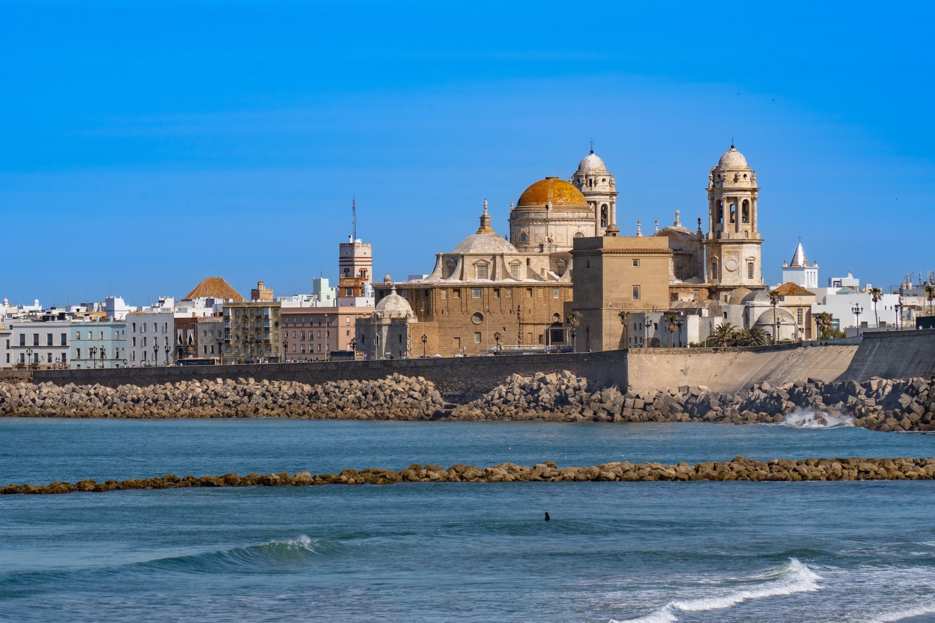 Directorio especialistas salud Cádiz