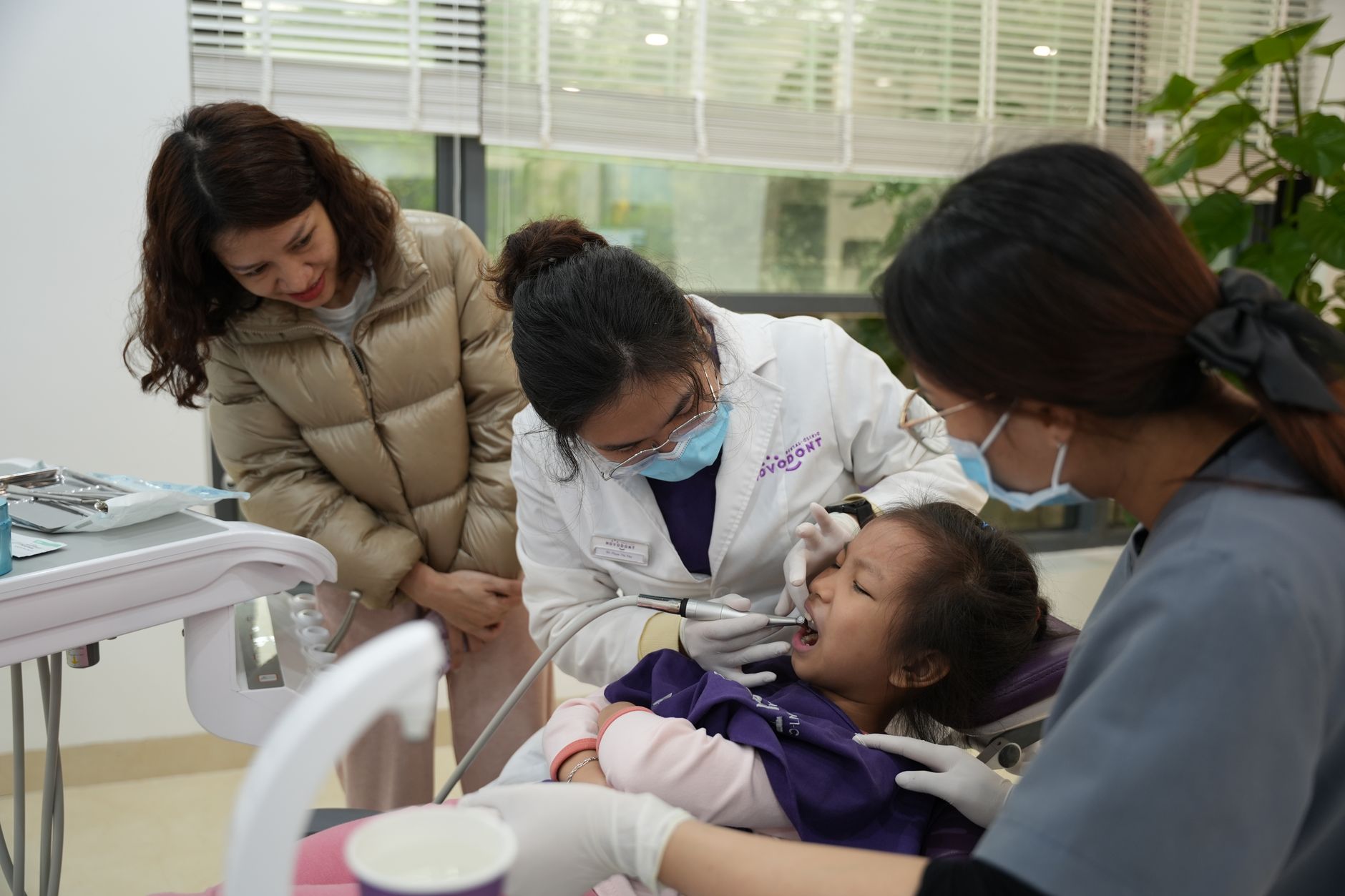 Dentista profesional en Cádiz
