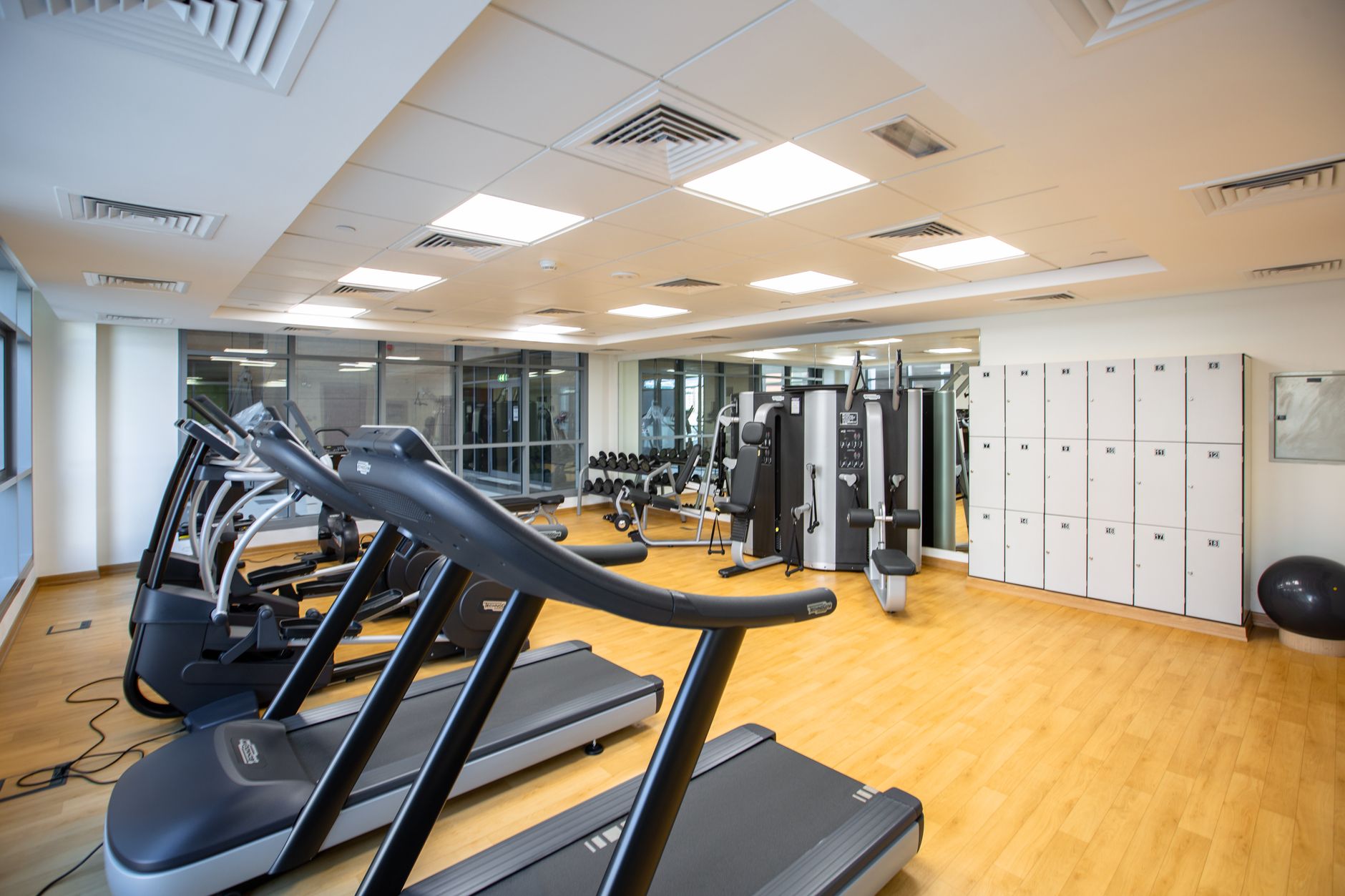 Sesión de fisioterapia MenejaT fit