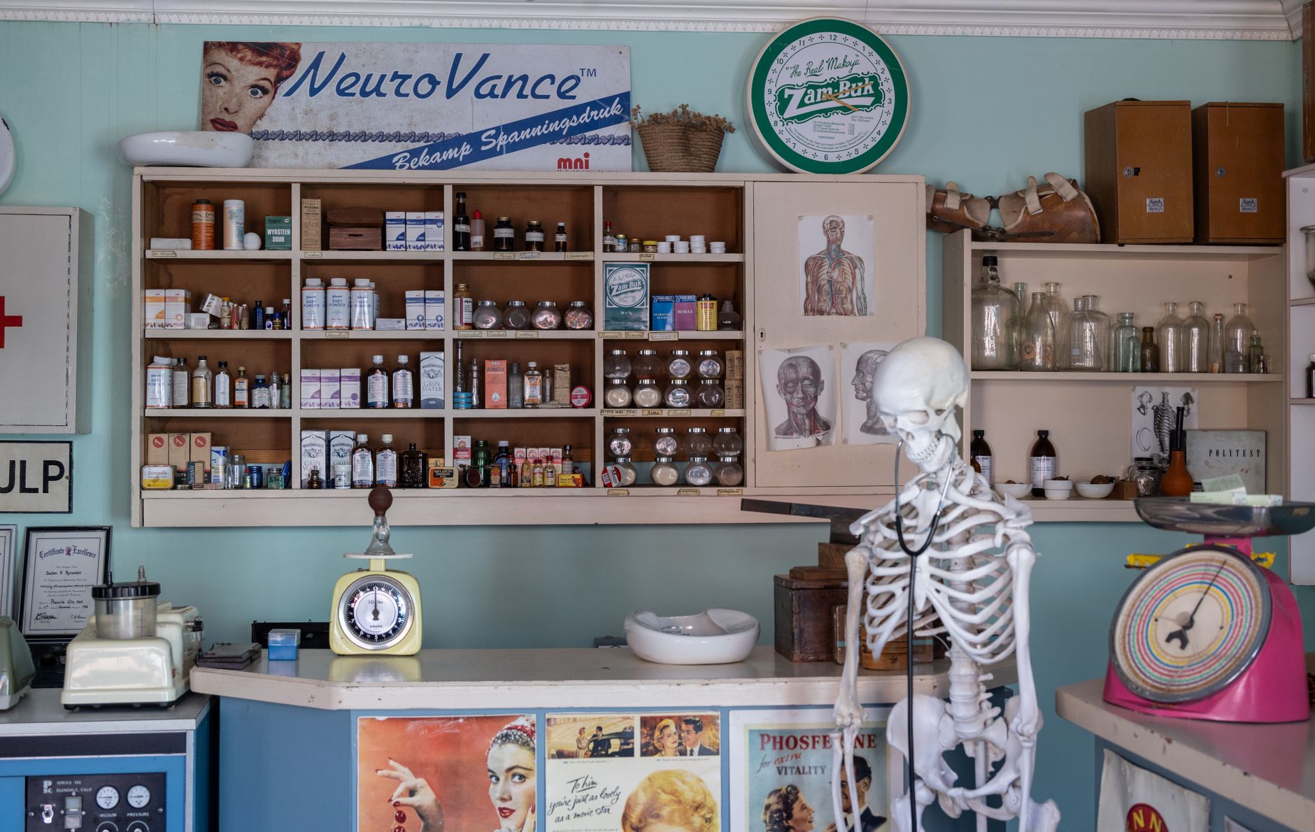 Farmàcia Rosalia Mestre Gorné - Farmacia en Terrassa